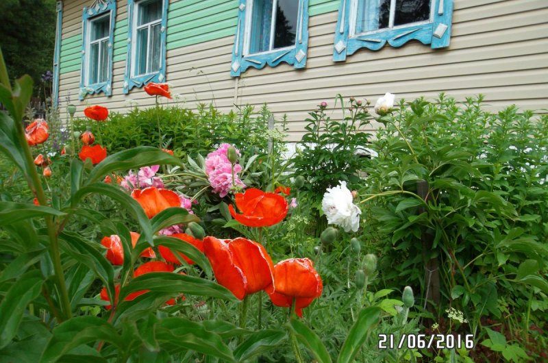 Гостевой дом Усадьба Добро Пожаловать, Артыбаш, Телецкое 16